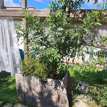 בית נופש L'attelu Avec Piscine Au Coeur Du Maquis Carbuccia