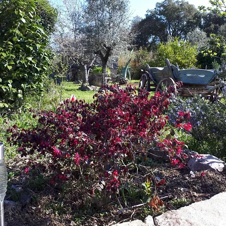 L'attelu Avec Piscine Au Coeur Du Maquis בית נופש *